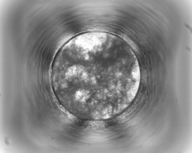 X0000093400856200711020934