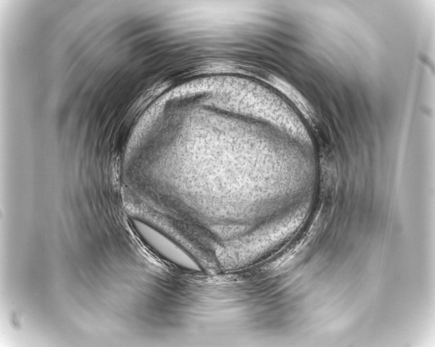 X0000093400857200711020934