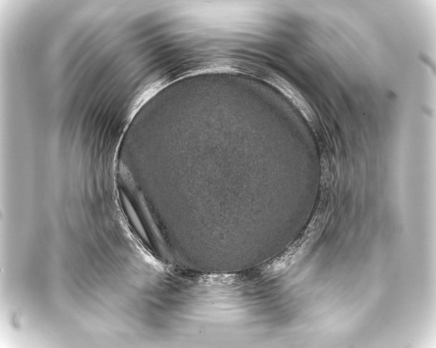 X0000093400858200711020934