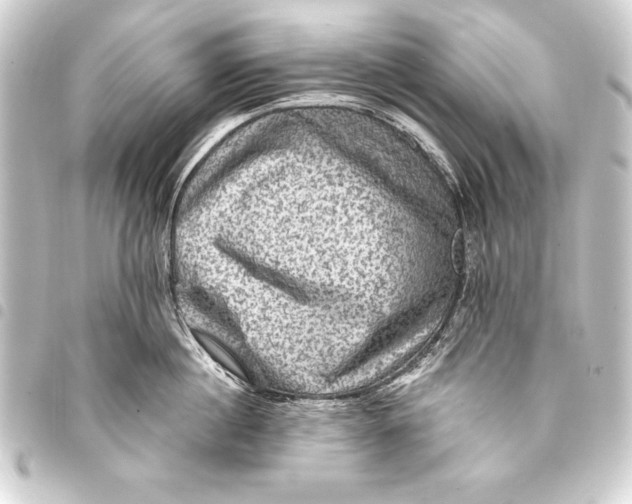 X0000093400860200711020934