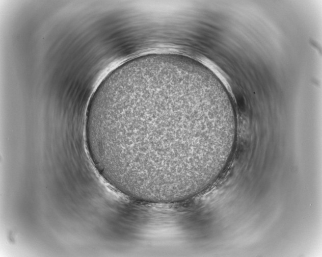 X0000093400861200711020934