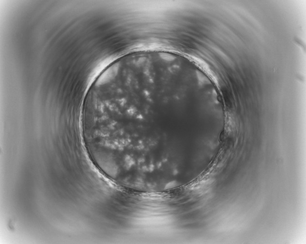 X0000093400863200711020934