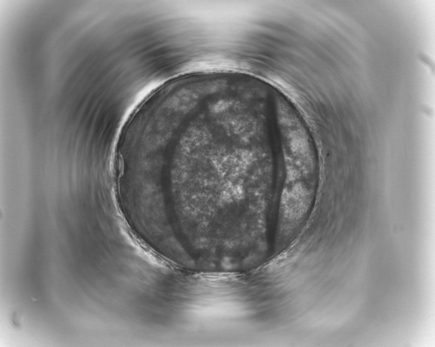 X0000093400864200711020934