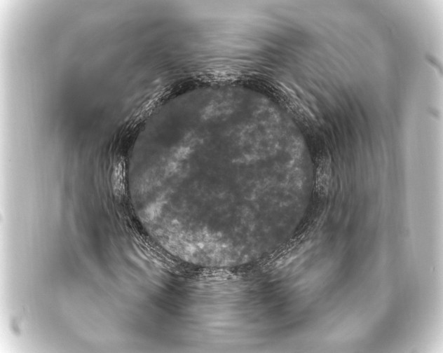 X0000093400866200711020933