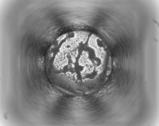 X0000093400867200711020933