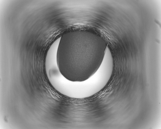 X0000093400868200711020933