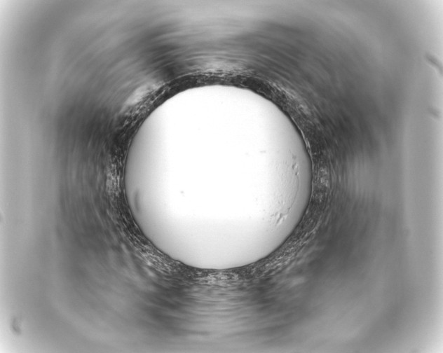 X0000093400869200711020933