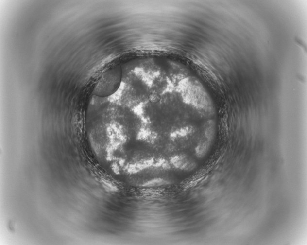 X0000093400870200711020933