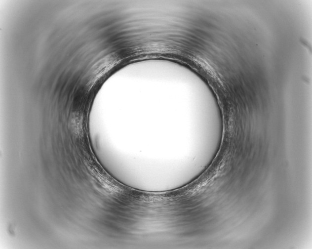 X0000093400873200711020933