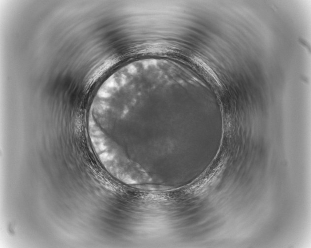 X0000093400874200711020933