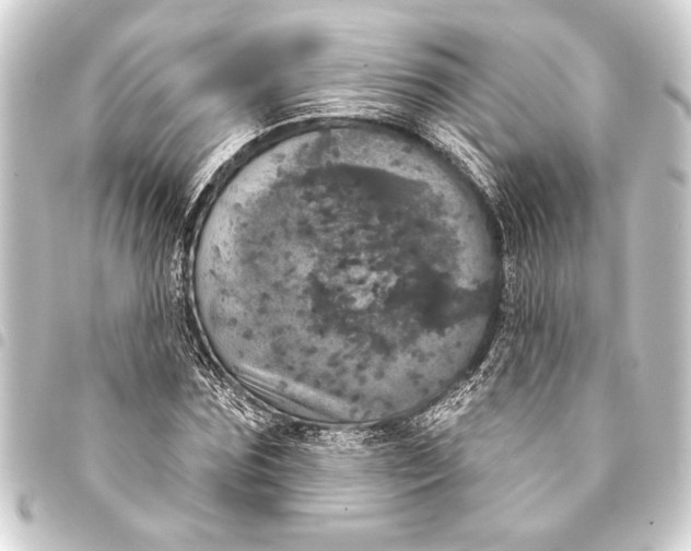 X0000093400875200711020933