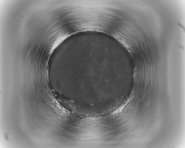 X0000093400877200711020933