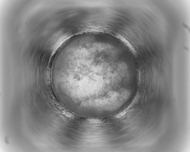 X0000093400878200711020933