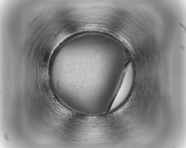 X0000093400880200711020933