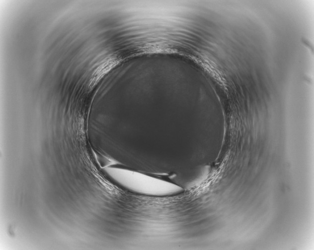 X0000093400881200711020933