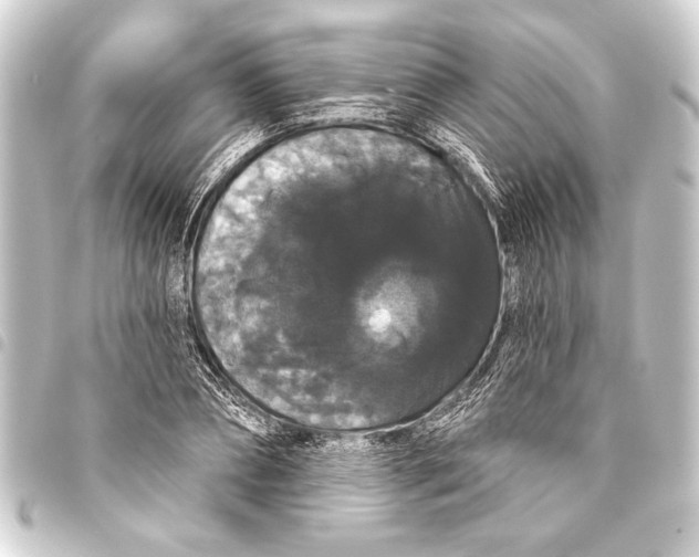 X0000093400882200711020933