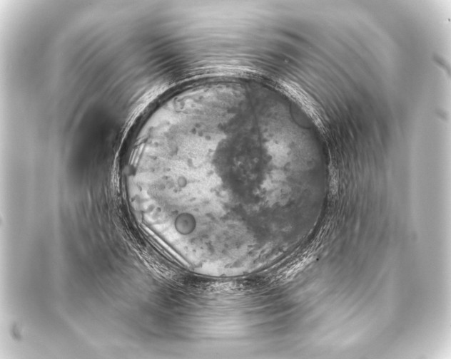 X0000093400883200711020933