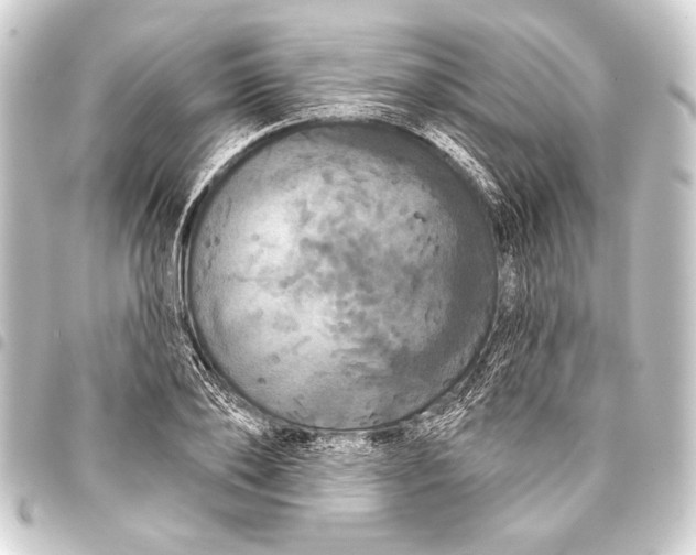 X0000093400886200711020933