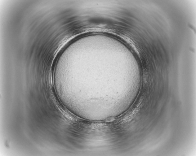 X0000093400887200711020933