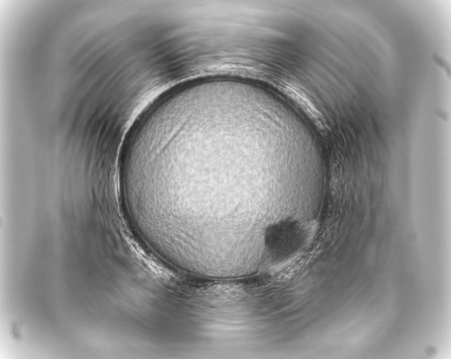 X0000093400888200711020933