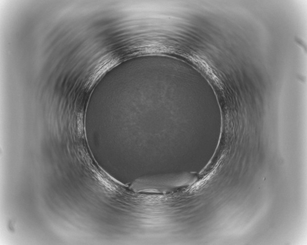 X0000093400889200711020933