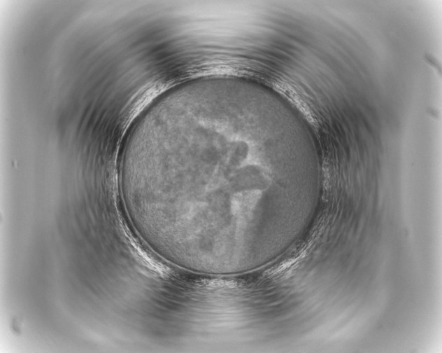 X0000093400890200711020933