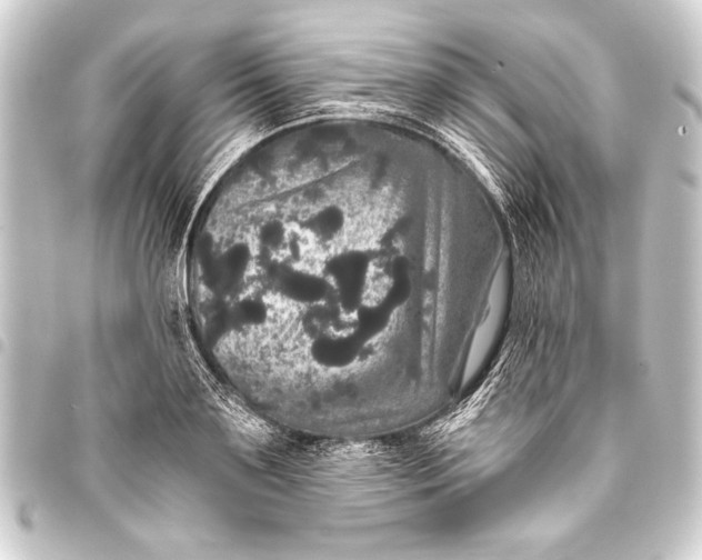 X0000093400891200711020933