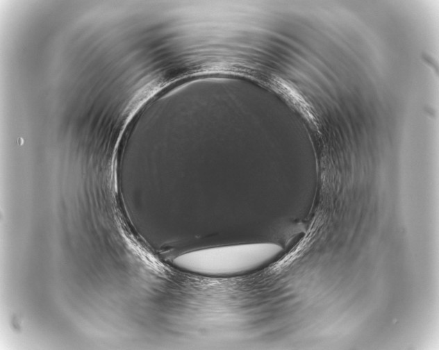 X0000093400892200711020933