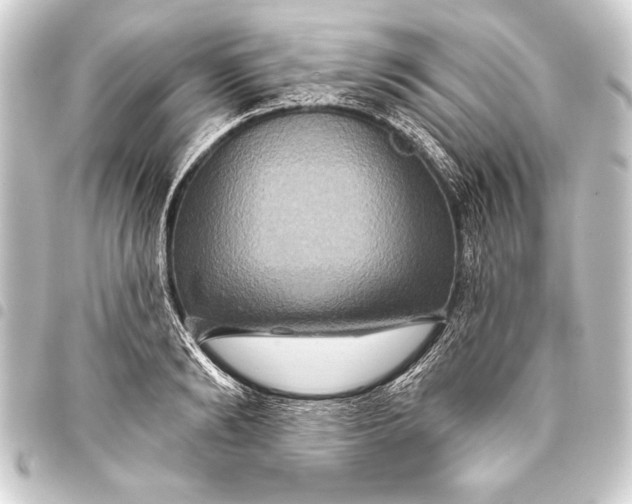 X0000093400894200711020933