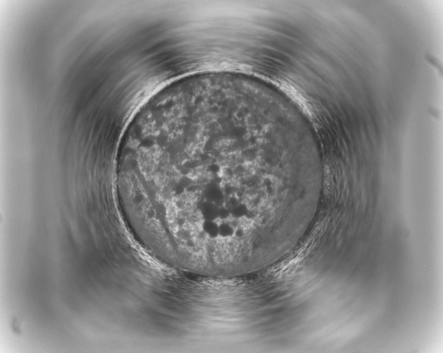 X0000093400895200711020933