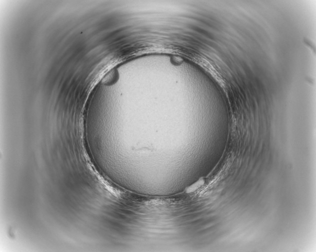 X0000093400898200711020933