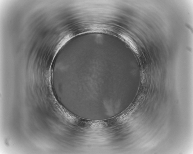 X0000093400899200711020933