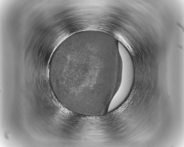 X0000093400900200711020933