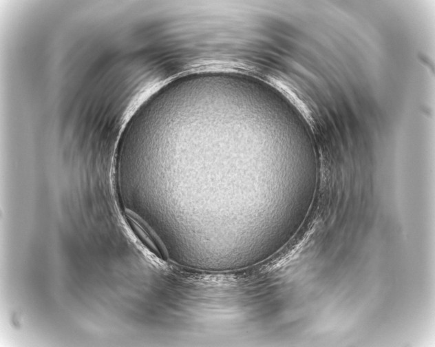 X0000093400901200711020933