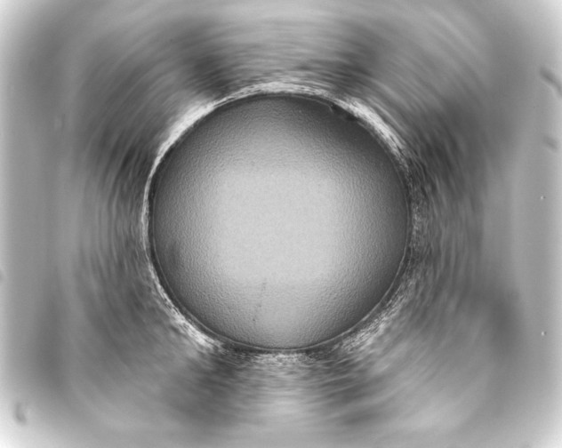 X0000093400902200711020933