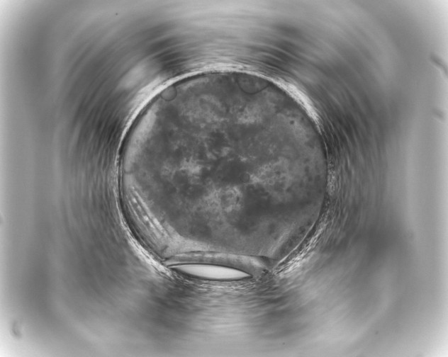 X0000093400903200711020933