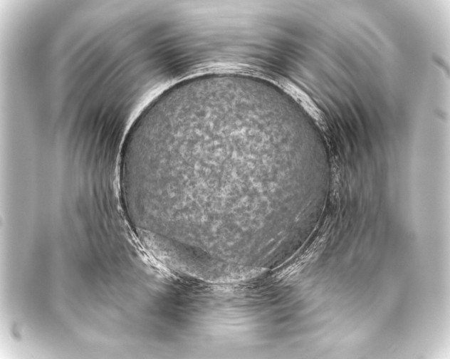 X0000093400904200711020933