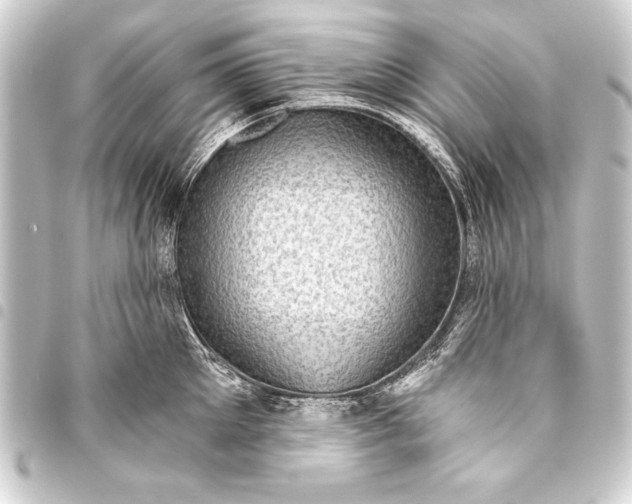 X0000093400905200711020933