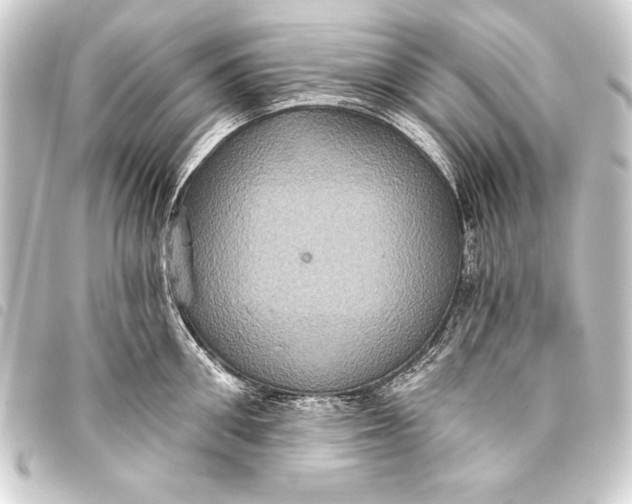 X0000093400906200711020933