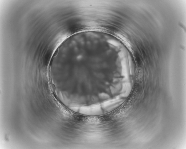 X0000093400907200711020933