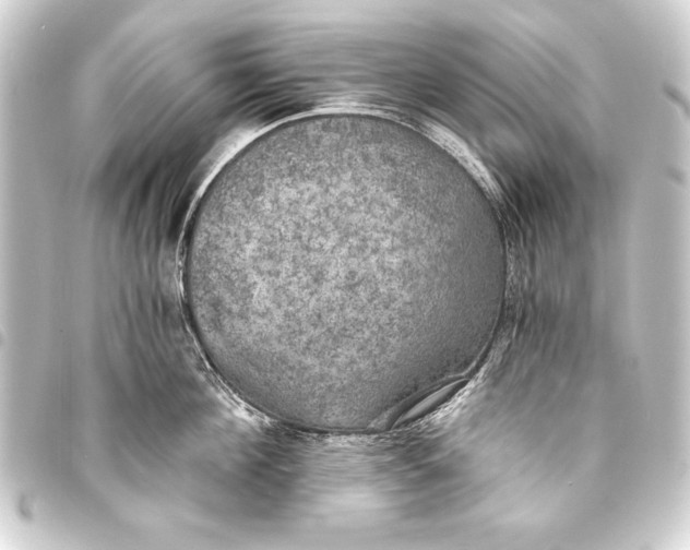 X0000093400908200711020933