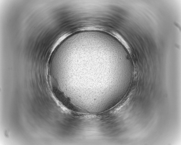 X0000093400909200711020933