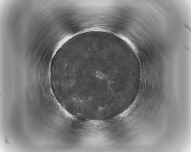 X0000093400910200711020933