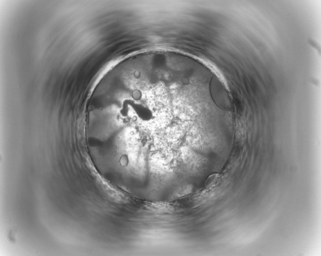 X0000093400911200711020933