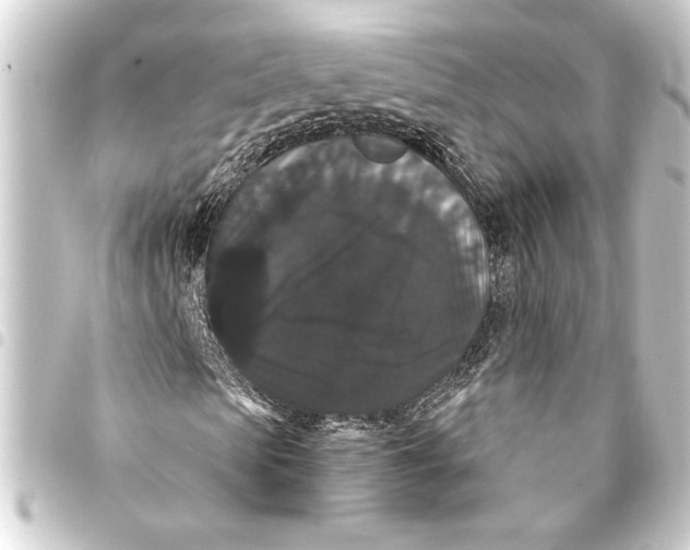 X0000093400913200711020932