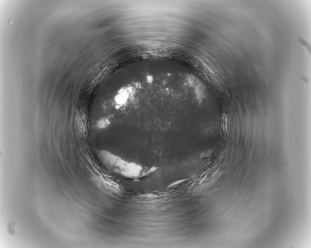 X0000093400915200711020932