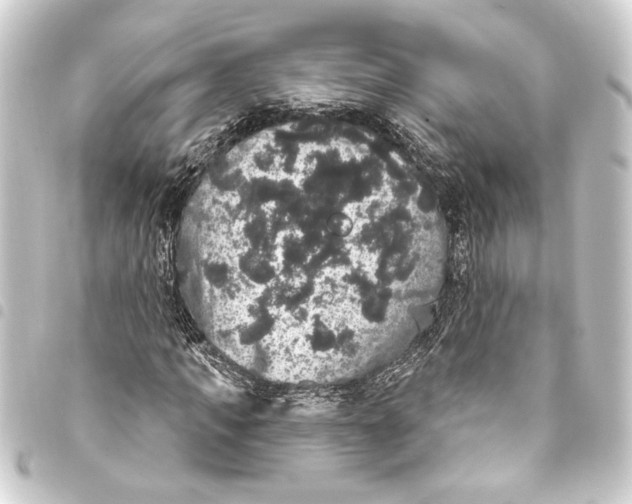 X0000093400917200711020932