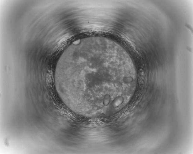 X0000093400918200711020932