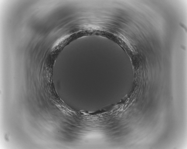 X0000093400919200711020932