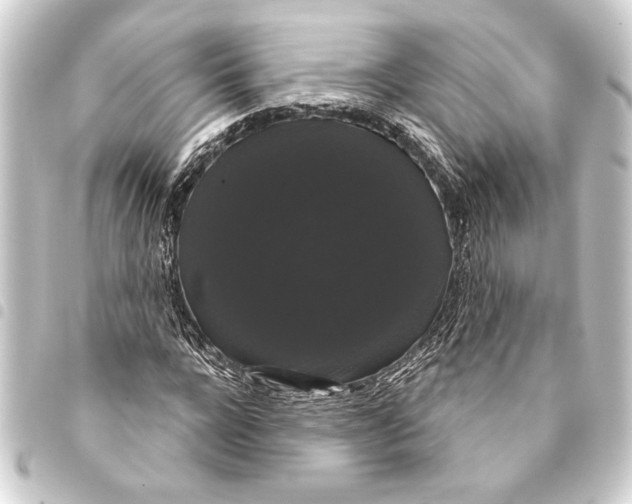 X0000093400920200711020932